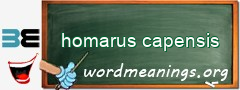 WordMeaning blackboard for homarus capensis